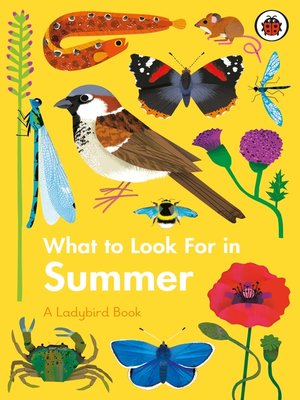 cover image of What to Look For in Summer